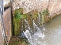 2006-09-13-019.JPG
