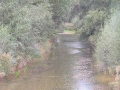 2006-09-14-005.JPG