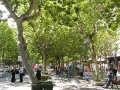2006-09-15-007.JPG
