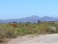 2006-09-16-013.JPG