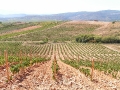 2006-09-16-029.JPG