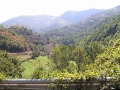 2006-09-18-005.JPG