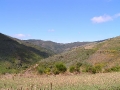 2006-09-18-011.JPG