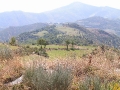 2006-09-18-012.JPG