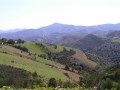 2006-09-18-018.JPG