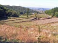 2006-09-20-007.JPG