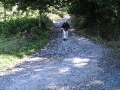 2006-09-22-016.JPG