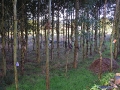 2006-09-24-001.JPG