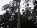 2006-09-25-002.JPG