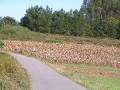 2006-09-26-009.JPG