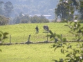 2006-09-26-010.JPG