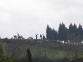 2006-09-27-017.JPG