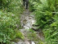 2007-07-16-011.JPG