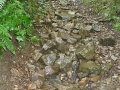 2007-07-16-021.JPG