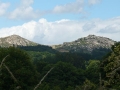 2007-07-17-019.JPG