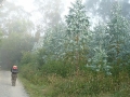 2007-07-21-008.JPG