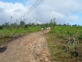 2007-07-23-005.JPG