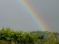 2007-07-23-042.JPG