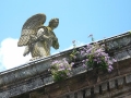 2007-07-24-064.JPG