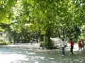 2007-07-25-104.JPG
